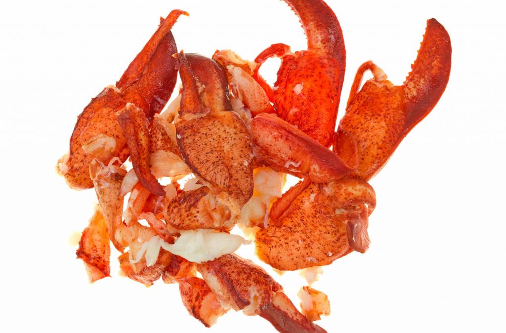 Photo of Lobster meat